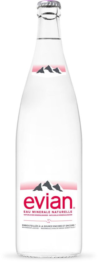 Evian Mineral MW 12 x 100cl