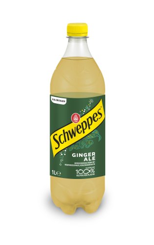 Schweppes Ginger Ale EW 6 x 100cl