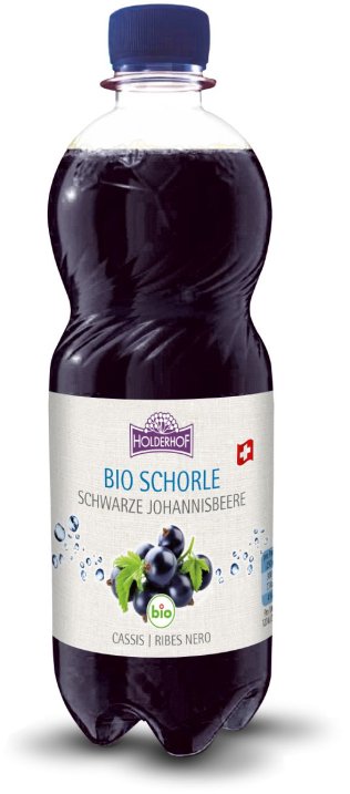 Holderhof Cassis Schorle Bio PET EW 12 x 50cl
