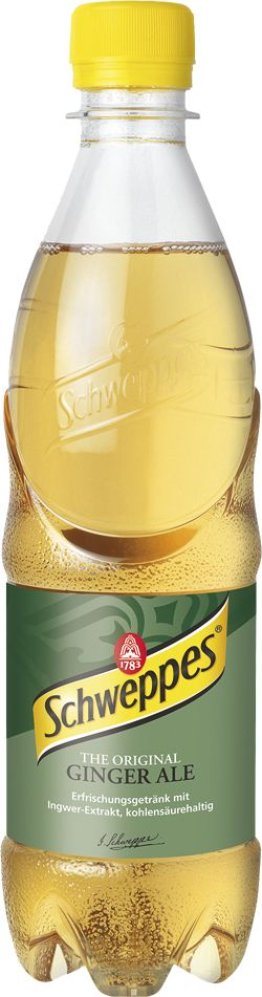 Schweppes Ginger Ale EW 6 x 100cl