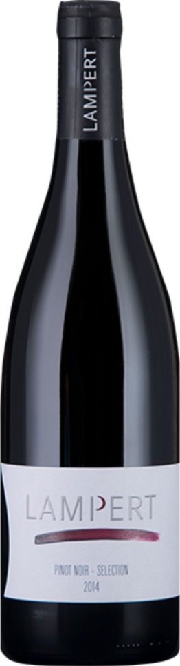 Maienfelder Pinot Noir Markus Lampert AOC EW 6 x 75cl