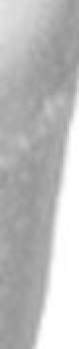 Isolierbecher/Thermobecher 2.5dl EW 50-Pack